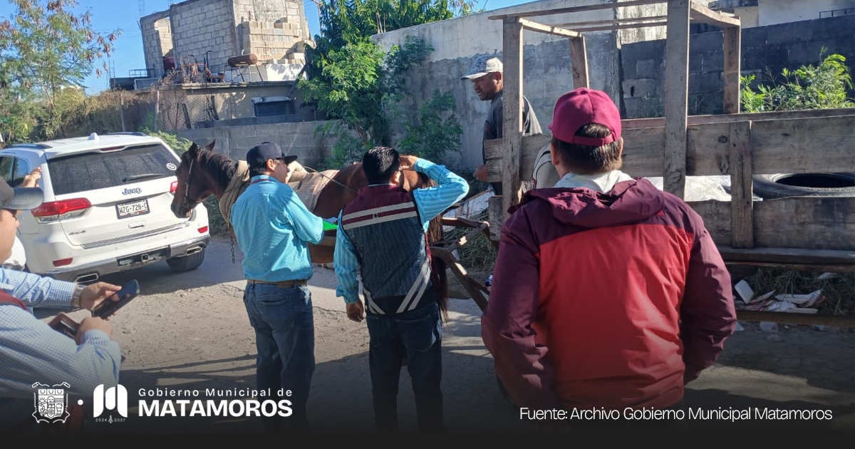 Alcalde ofrece trabajo a carretoneros en Matamoros