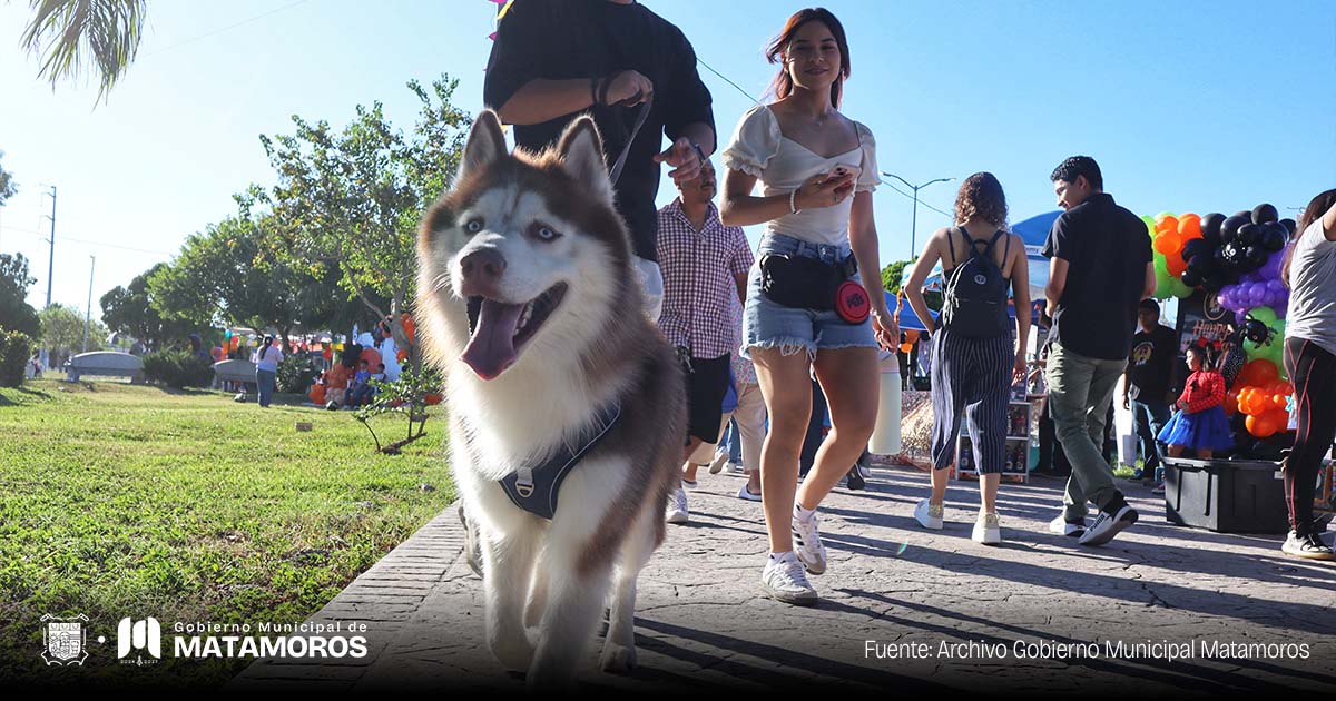 Evento Patita de Perro