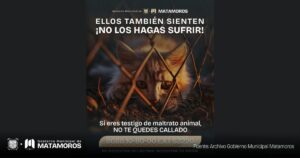 Pide Presidente Municipal Beto Granados denunciar el maltrato animal