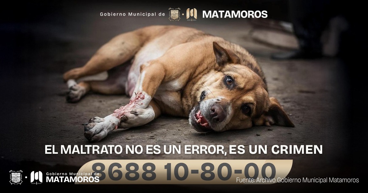 Invita Gobierno municipal, a denunciar el maltrato animal en Matamoros