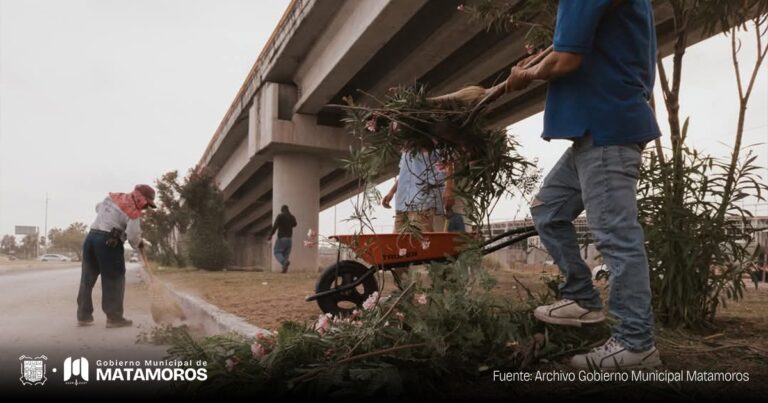 Avenidas, parques y colonias son atendidas por Espacios públicos en beneficio de los matamorenses
