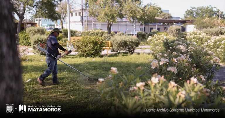 Gobierno de Matamoros realiza limpieza y mantenimiento