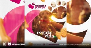 Gobierno Municipal de Matamoros recomienda adoptar mascotas y brindarles un hogar digno