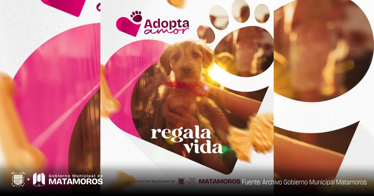 Gobierno Municipal de Matamoros recomienda adoptar mascotas y brindarles un hogar digno