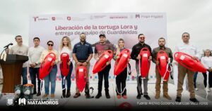 Con orgullo se lleva a cabo la liberación de tortuga lora, una especie emblemática de nuestras costas