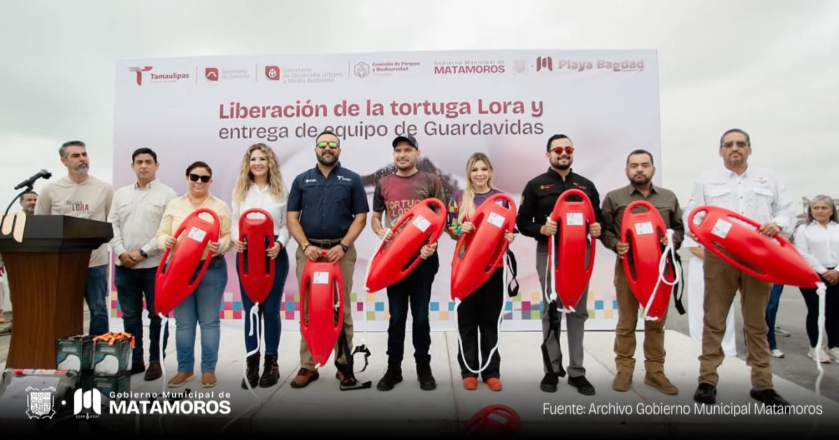 Con orgullo se lleva a cabo la liberación de tortuga lora, una especie emblemática de nuestras costas