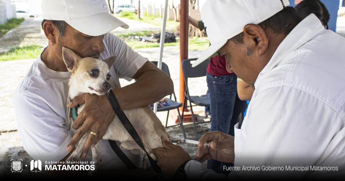 El Gobierno de Matamoros informó que en la colonia Reforma se llevó a cabo la Jornada Permanente de Vacunación Antirrábica