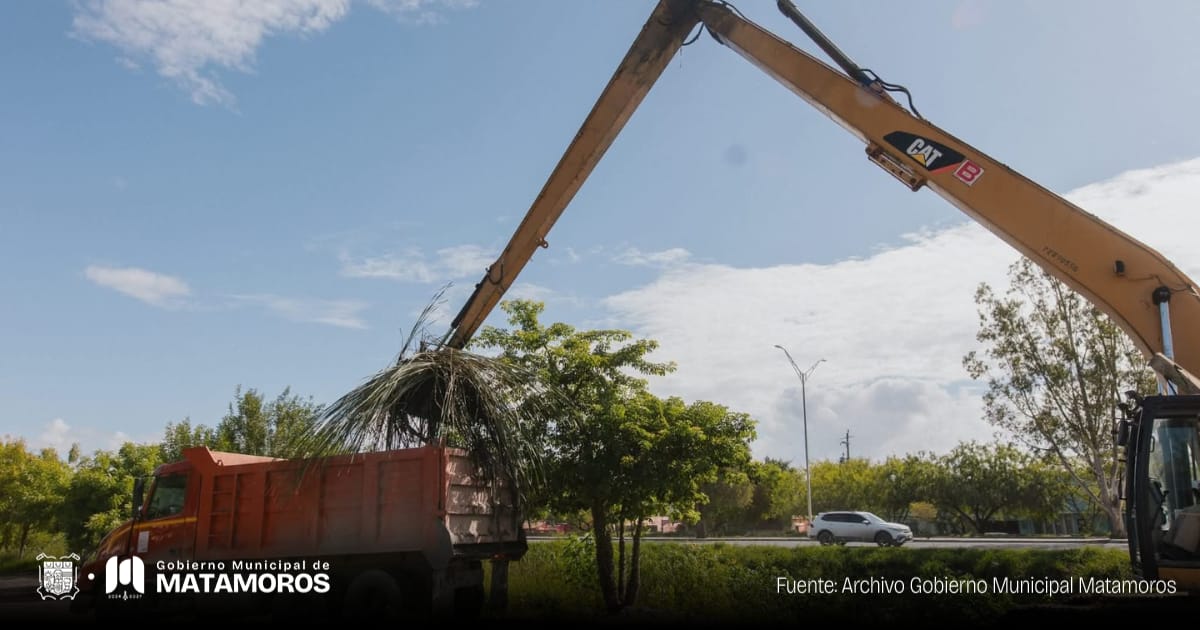 Gobierno de Matamoros intensifica labores de limpieza en drenes para prevenir encharcamientos