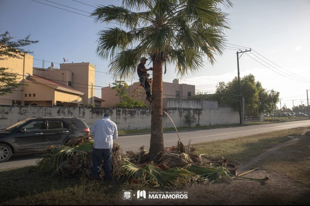 Avanza la rehabilitación de áreas verdes en el Fraccionamiento Praderas: Beto Granados