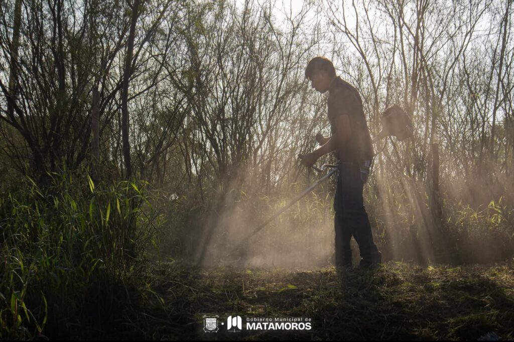 Avanza la rehabilitación de áreas verdes en el Fraccionamiento Praderas: Beto Granados
