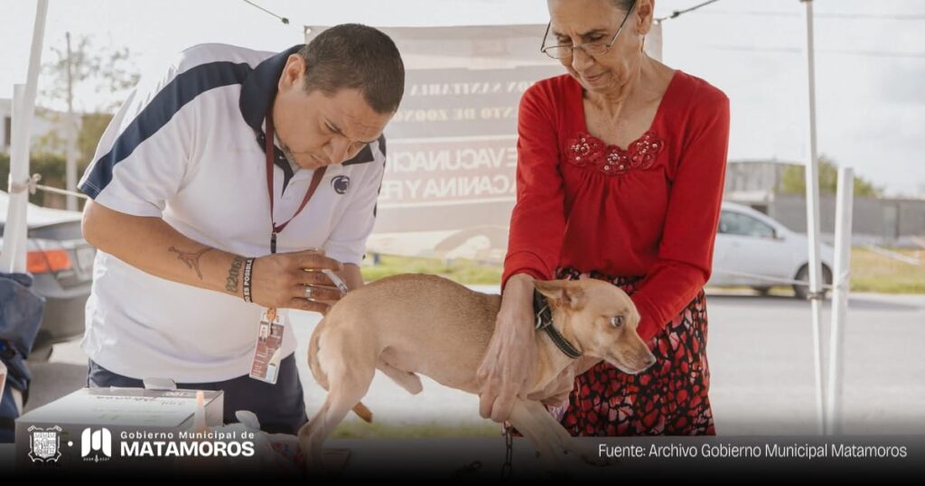 Gobierno de Matamoros impulsa la salud y el bienestar animal en la Colonia Los Álamos